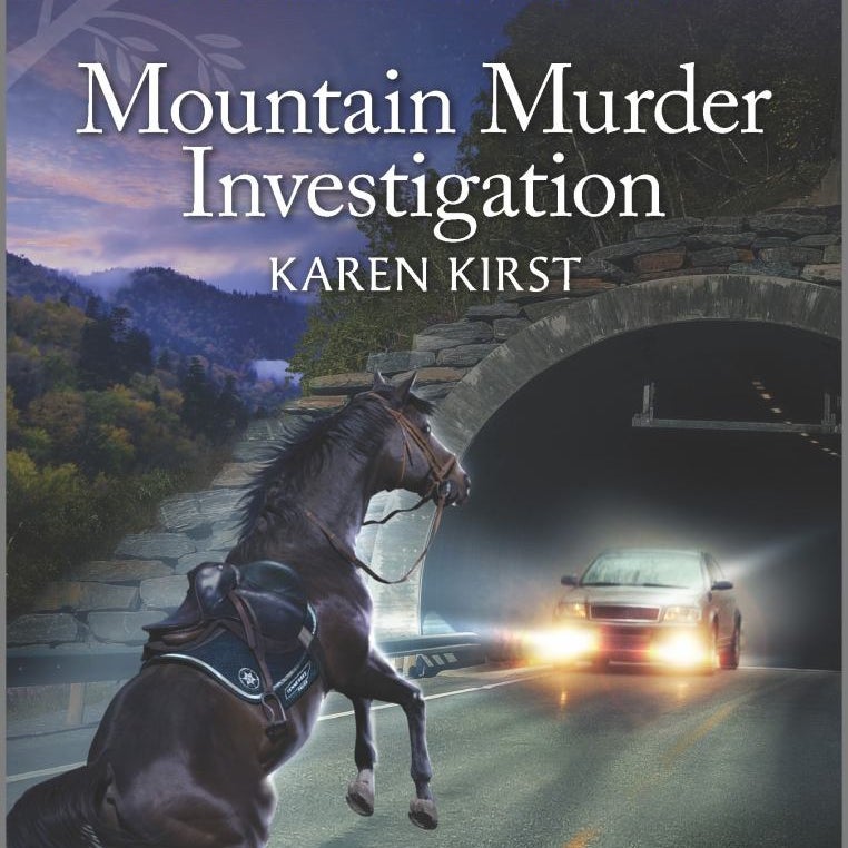 Mountain Murder Investigation