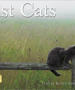 Just Cats- Half-Pint Edition