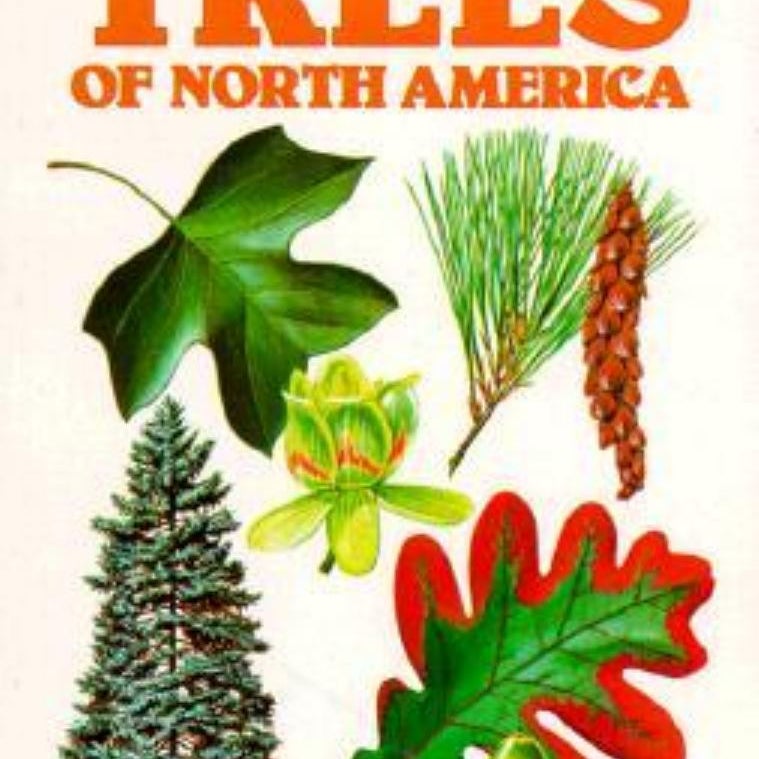 Trees of North America