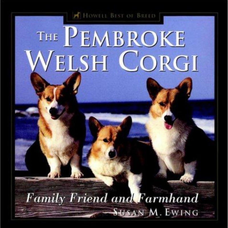 The Pembroke Welsh Corgi