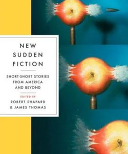 New Sudden Fiction