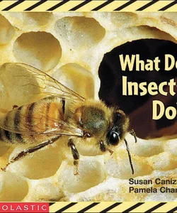 What Do Insects Do?