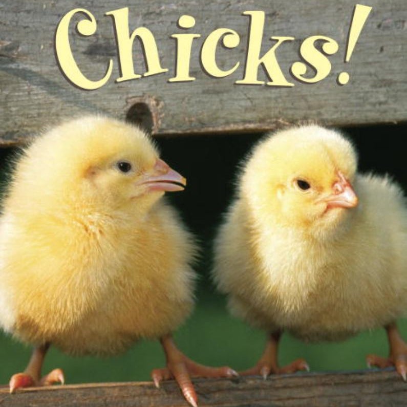 Chicks!