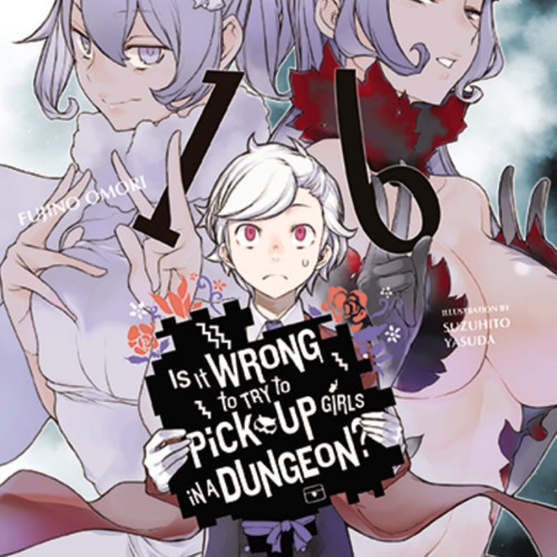 Is It Wrong to Try to Pick up Girls in a Dungeon?, Vol. 16 (light Novel)