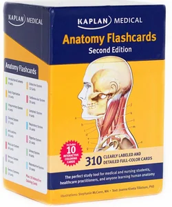 Anatomy Flashcards