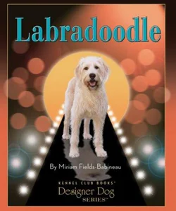 Labradoodle