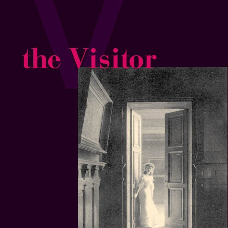 The Visitor