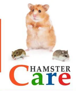 Hamster Care