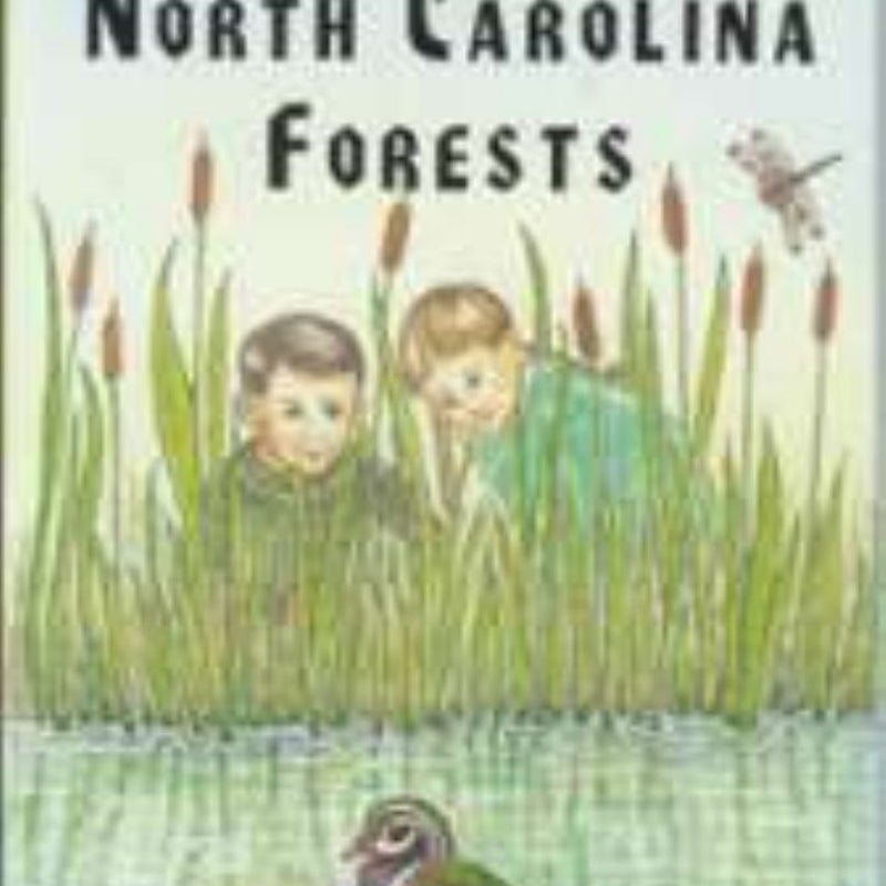 Spring and Summer in North Carolina Forests