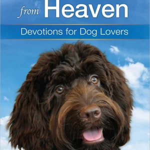 Four Paws from Heaven