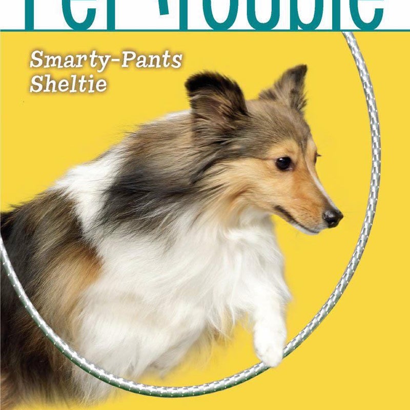 Smarty-Pants Sheltie