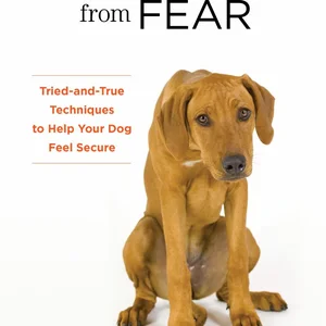 Rescue Your Dog from Fear