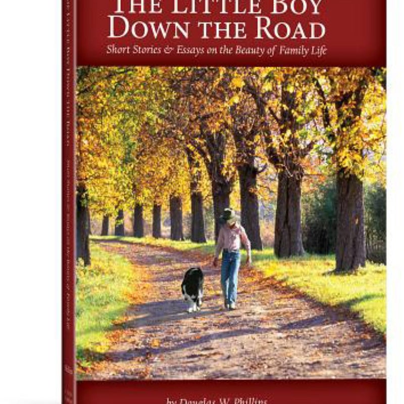 The Little Boy down the Road