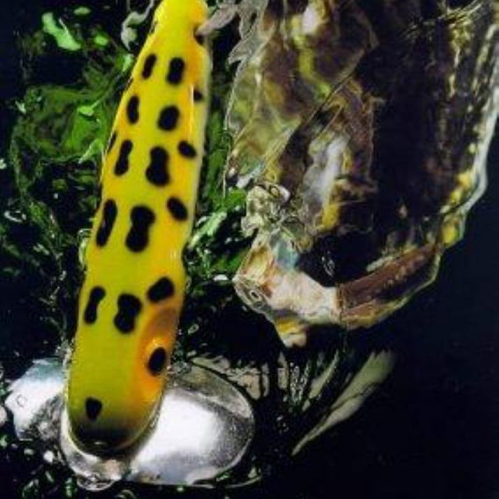 Fishing with Artificial Lures