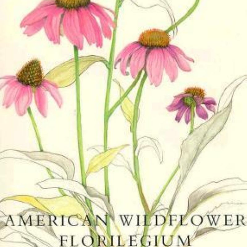 American Wildflower Florilegium