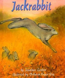 Jackrabbit