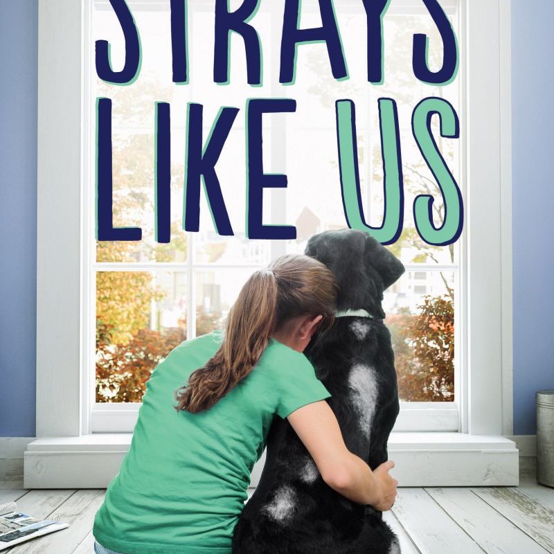 Strays Like Us