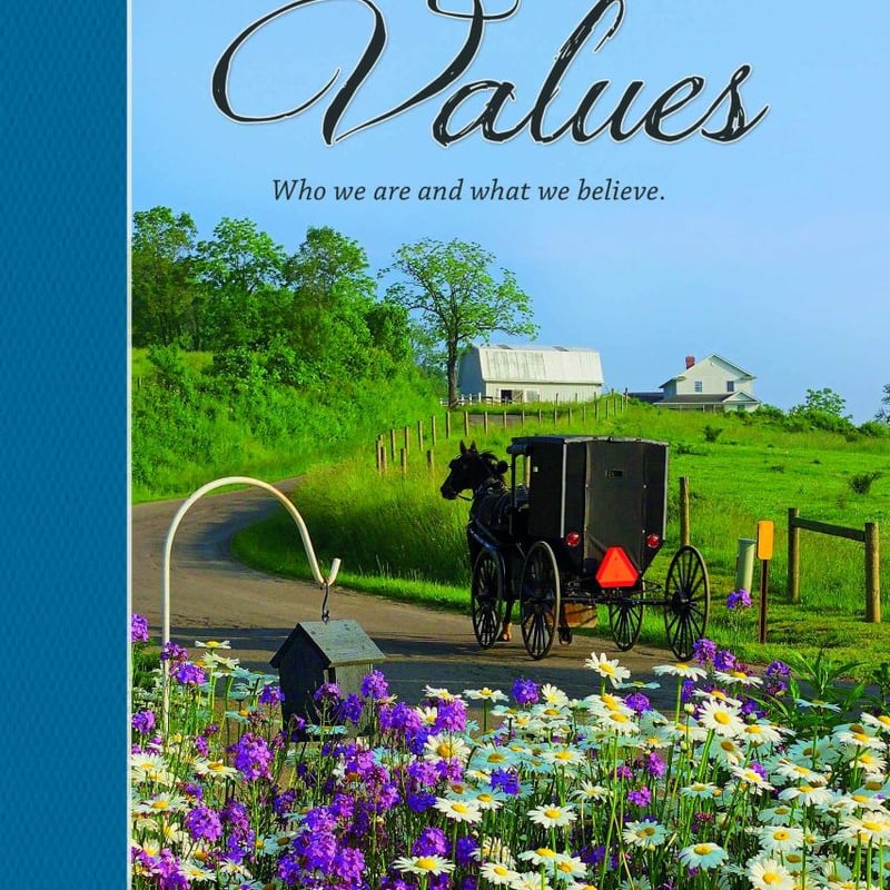 Our amish values by lester beachy pangobooks
