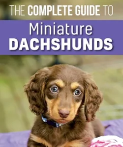 The Complete Guide to Miniature Dachshunds