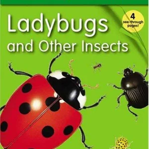 Ladybugs and Other Insects