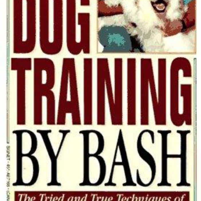 Dog Training by Bash