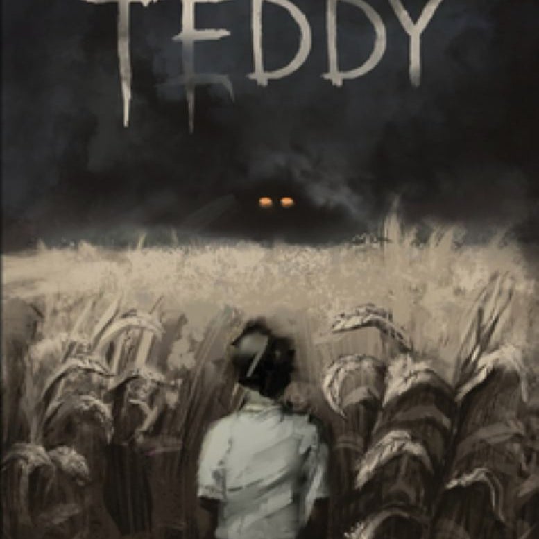 Take Your Turn, Teddy by Haley Newlin