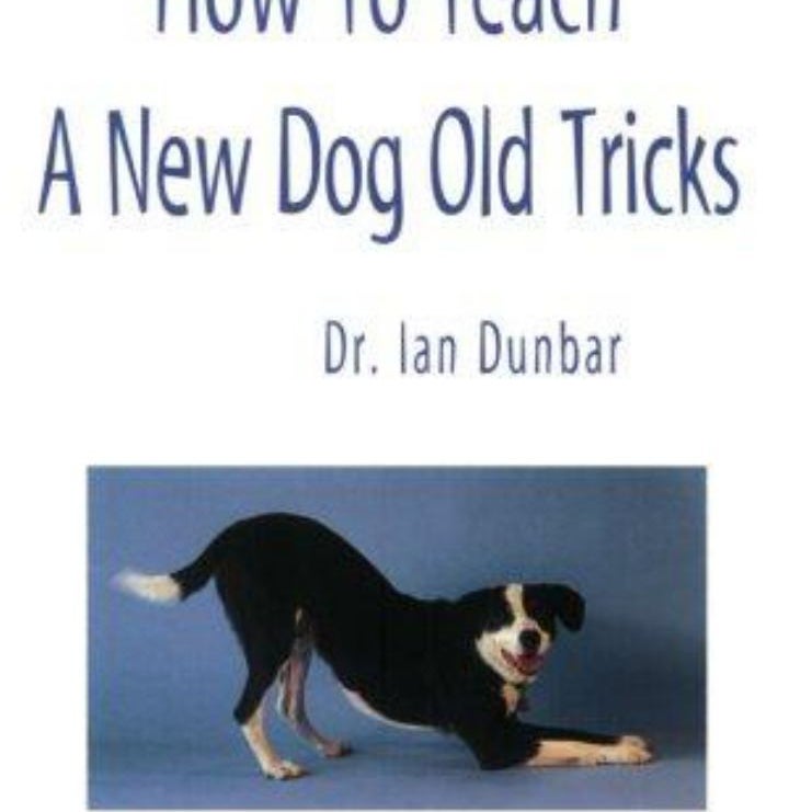 How to Teach a New Dog Old Tricks