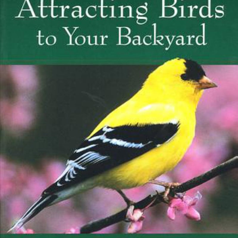 Attracting Birds to Your Backyard