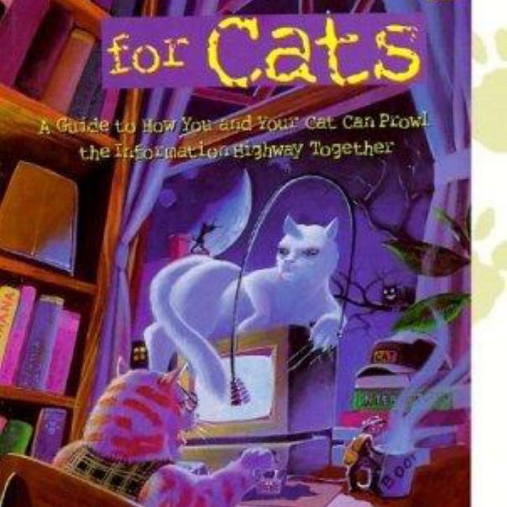 Internet for Cats