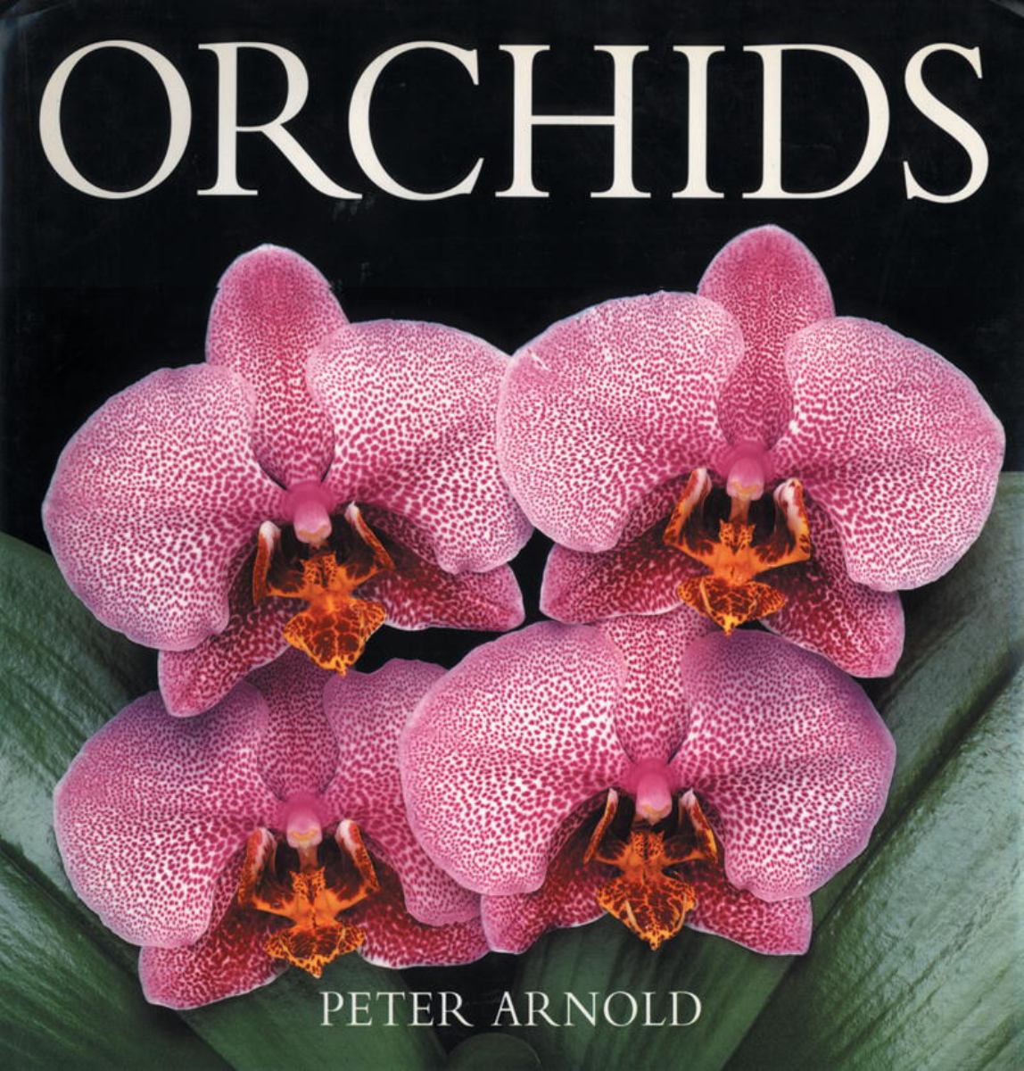 Orchids