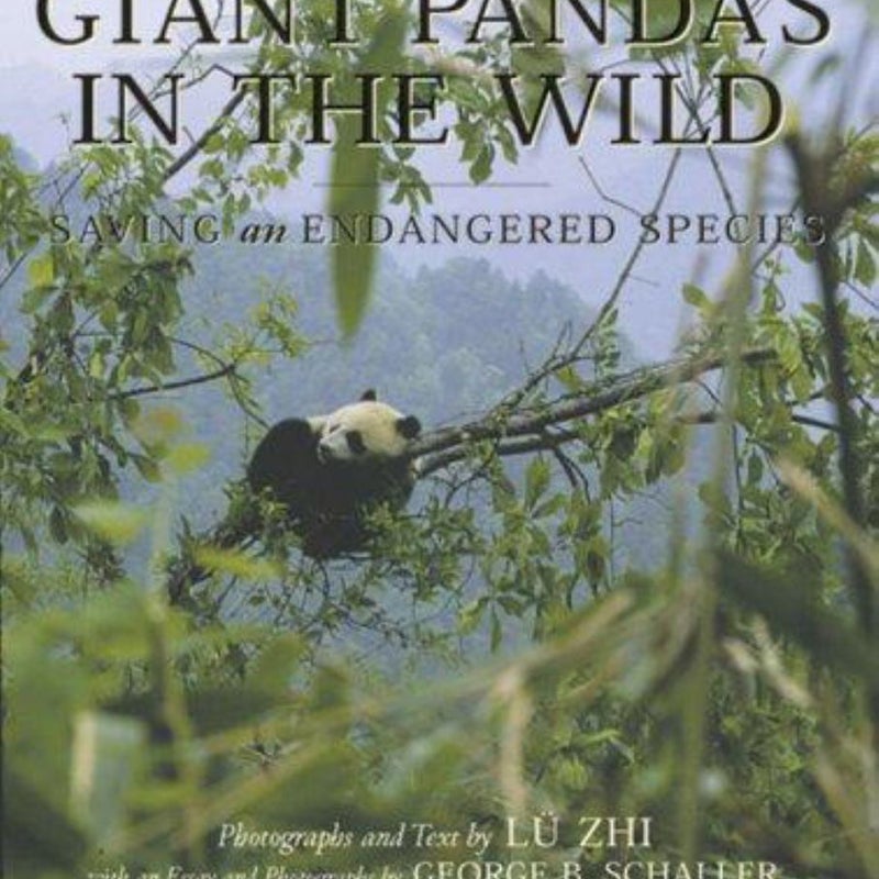 Giant Pandas in the Wild