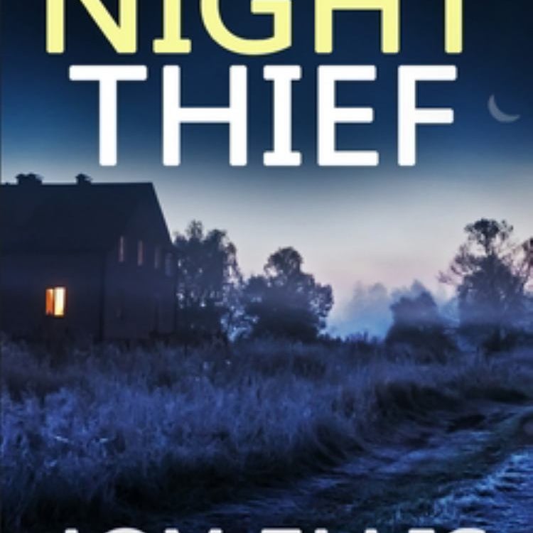 The NIGHT THIEF a Gripping Crime Thriller Full of Stunning Twists