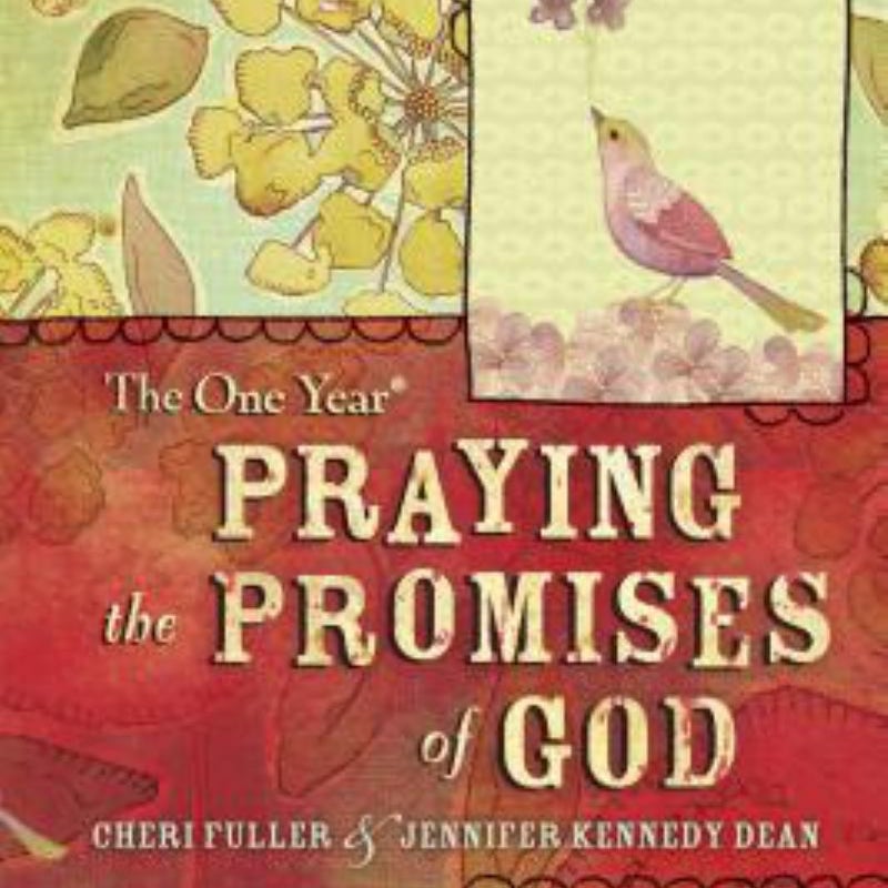 The One Year Praying the Promises of God