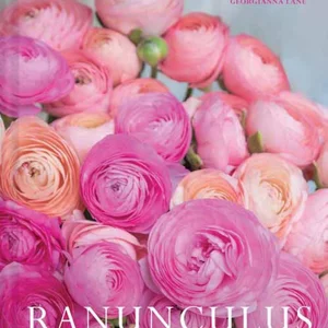 Ranunculus