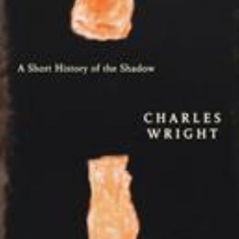 A Short History of the Shadow