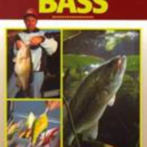 Luring Largemouth Bass