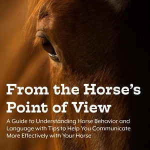 From the Horse's Point of View