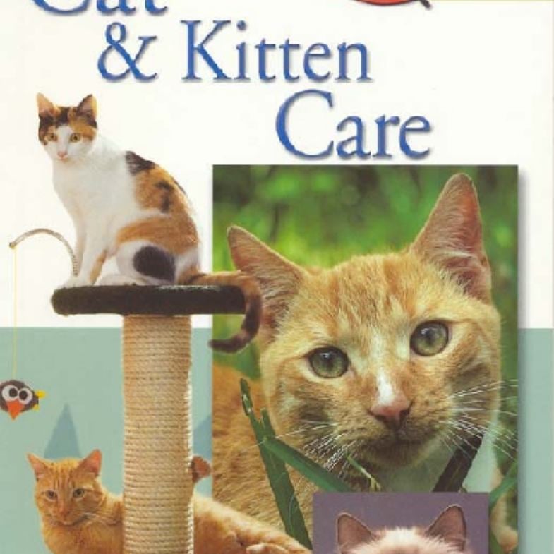 Cat and Kitten Care