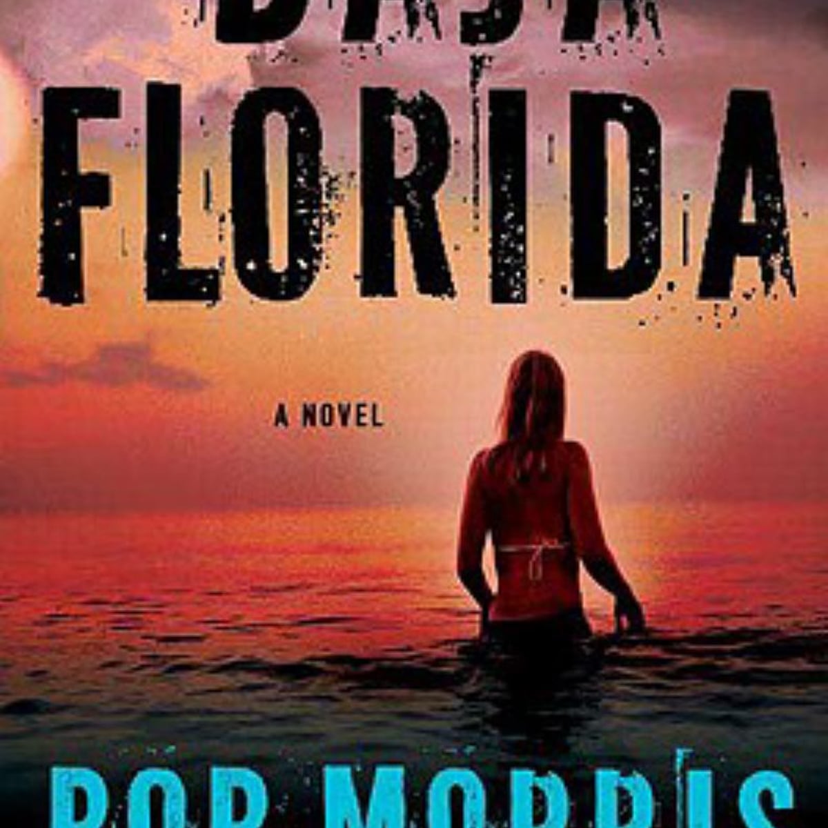 Baja florida by bob morris