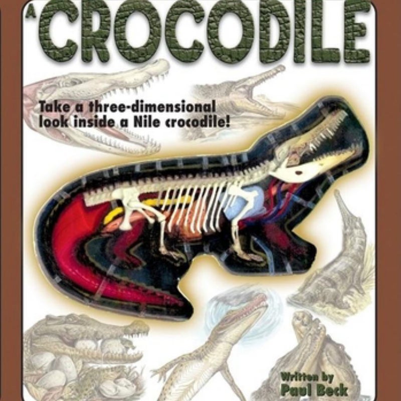 Uncover a Crocodile