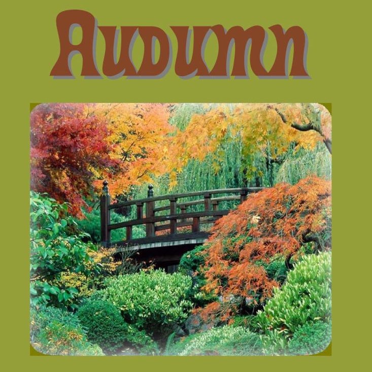 Audumn