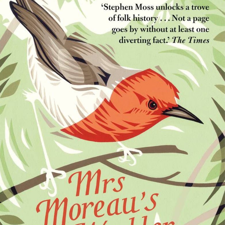 Mrs Moreau's Warbler