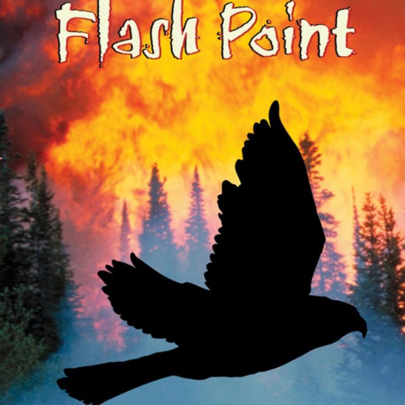 Flash Point