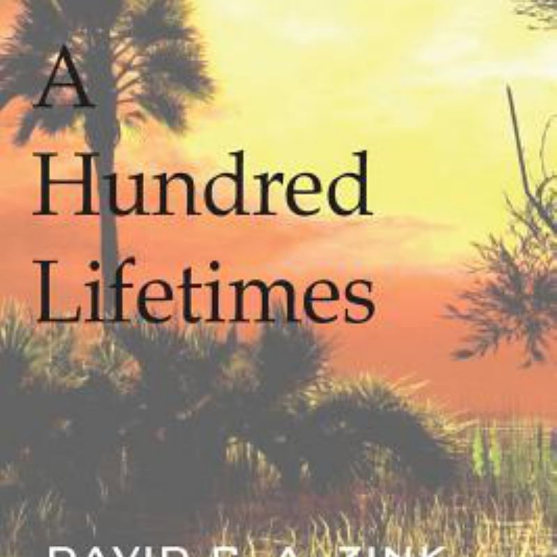 A Hundred Lifetimes