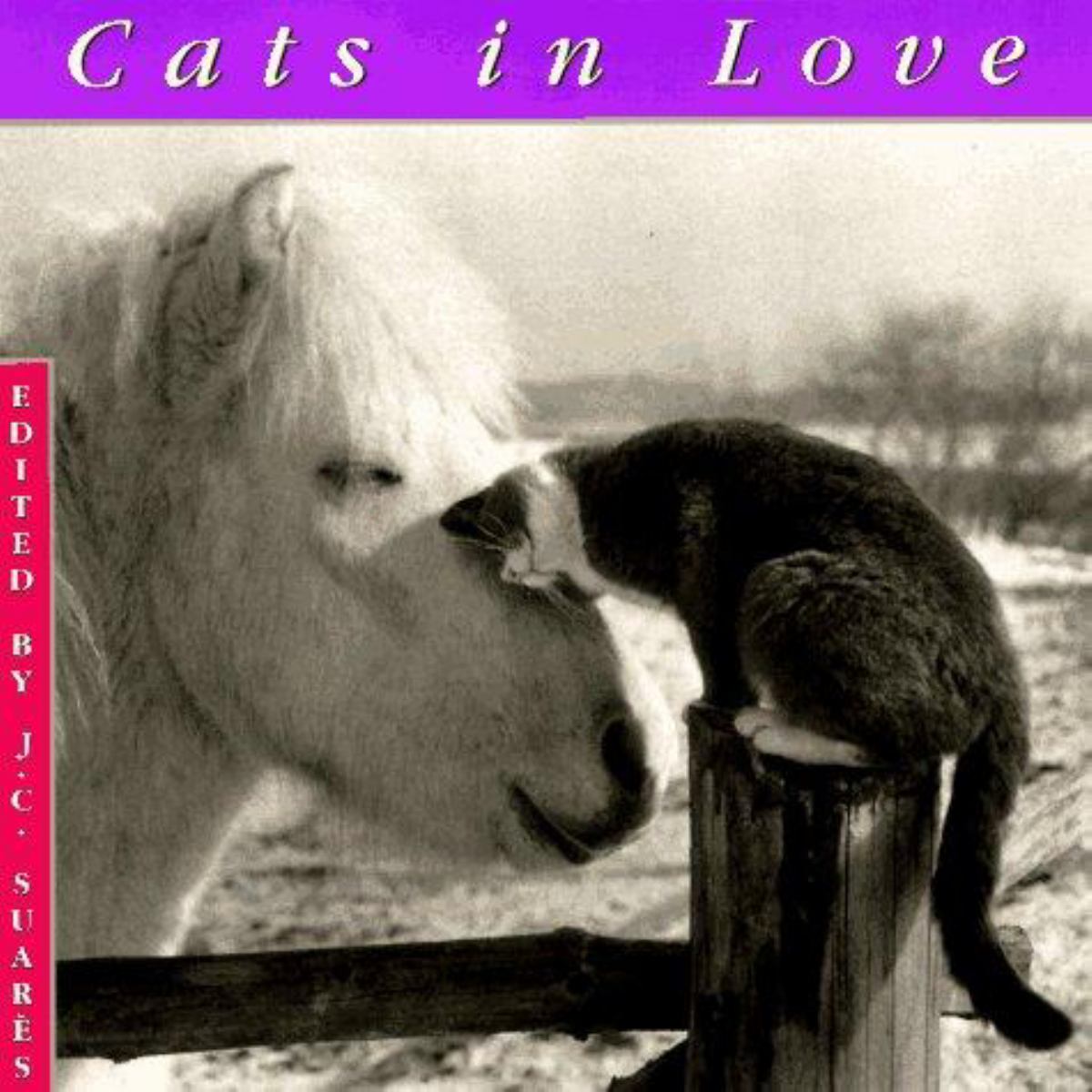 Cats in Love