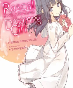 Rascal Does Not Dream of a Dreaming Girl (light Novel)