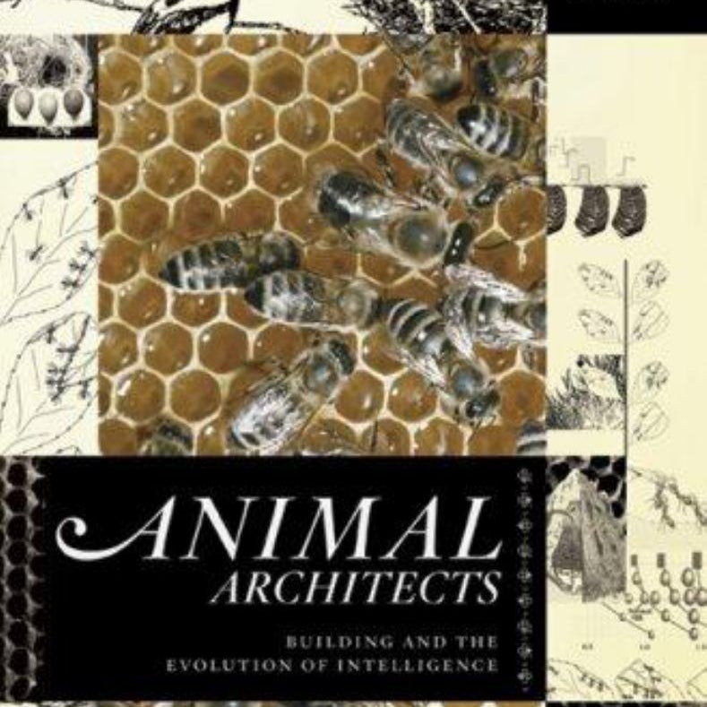 Animal Architects