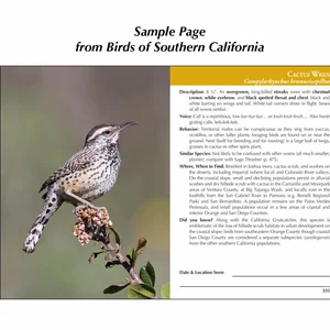 Birds of Southern California