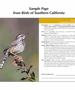 Birds of Southern California