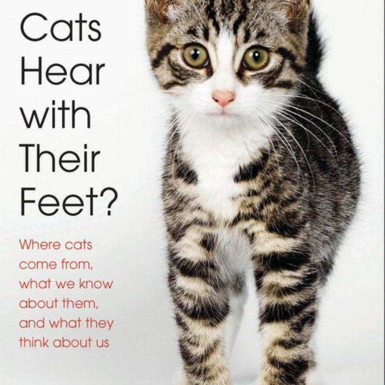 Do Cats Hear with Their Feet?